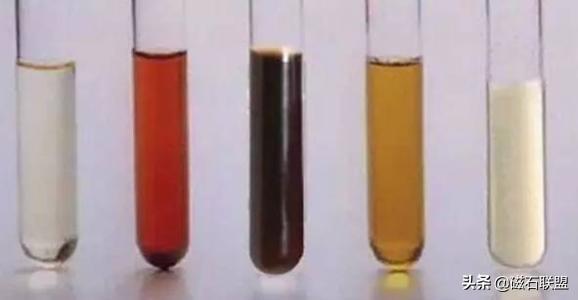 猫咪肚子疼为什么要做尿液分析检查？检查前有什么注意事项？(图5)