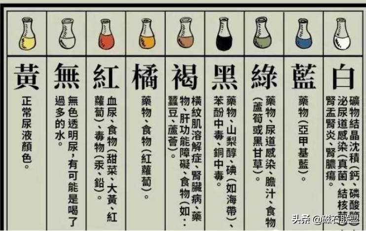 猫咪肚子疼为什么要做尿液分析检查？检查前有什么注意事项？(图6)