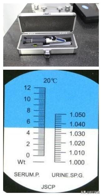 猫咪肚子疼为什么要做尿液分析检查？检查前有什么注意事项？(图12)