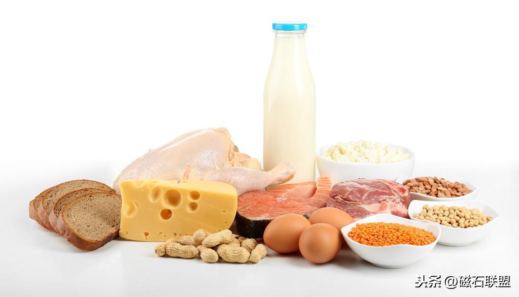 猫咪肚子疼为什么要做尿液分析检查？检查前有什么注意事项？(图13)