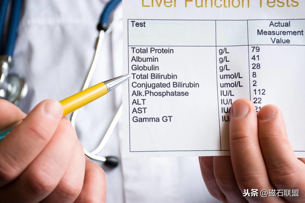 猫咪肚子疼为什么要做尿液分析检查?检查前有什么注意事项?(图16)