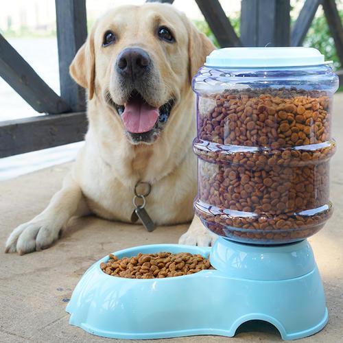 金毛犬吃什么狗粮好?(金毛一般吃什么?)(图3)