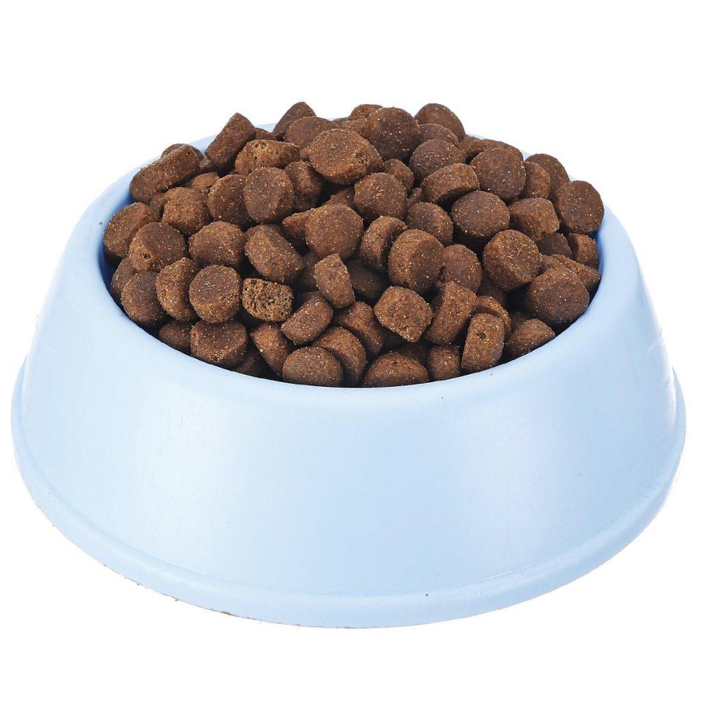 金毛犬吃什么狗粮好?(金毛一般吃什么?)(图4)