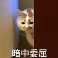猫咪不爱洗澡的程度有多深？铲屎官如何正确给猫咪洗澡呢？(图9)