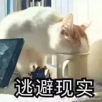猫咪不爱洗澡的程度有多深？铲屎官如何正确给猫咪洗澡呢？(图6)