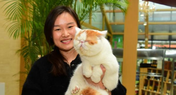 心酸！女士下班路上偶遇大耗子，仔细一看竟是只骨瘦如柴的加菲猫(图1)