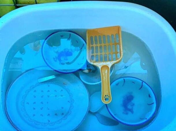 在洗碗池里发现猫砂铲，女子顿时心塞了，问了老妈才知道误会一场(图1)