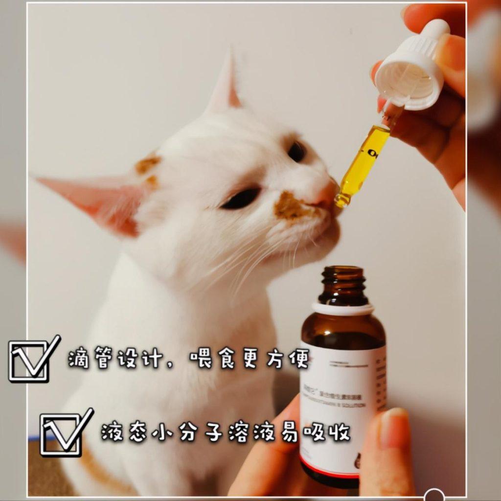 猫咪美毛小技巧：注意这三点，教你养出柔顺光亮的猫咪(图4)