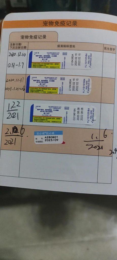坐飞机如何托运猫咪？托运全流程(图1)