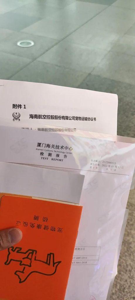 坐飞机如何托运猫咪？托运全流程(图5)