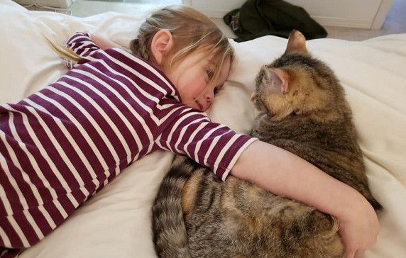 冻伤猫咪在消防局门外敲窗求救 幸运度过寒冬(图5)