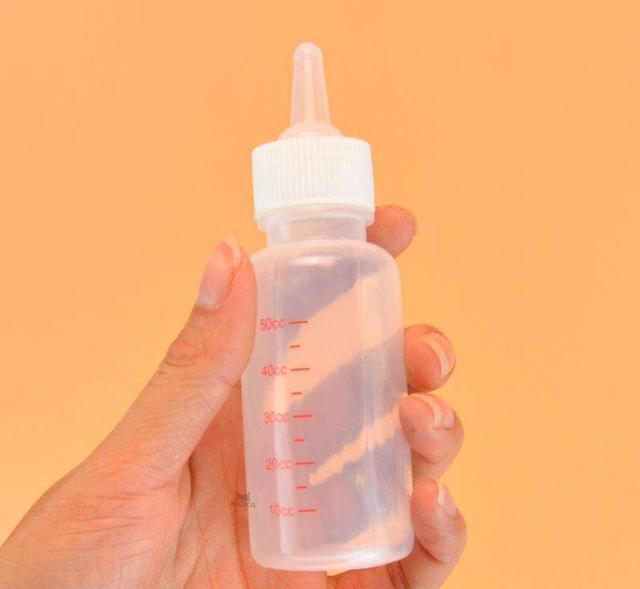 如何喂养刚出生的小奶猫？什么时候可以开始使用猫砂？(图8)