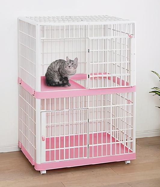 养猫到底要花多少钱？养猫成本分析(图6)