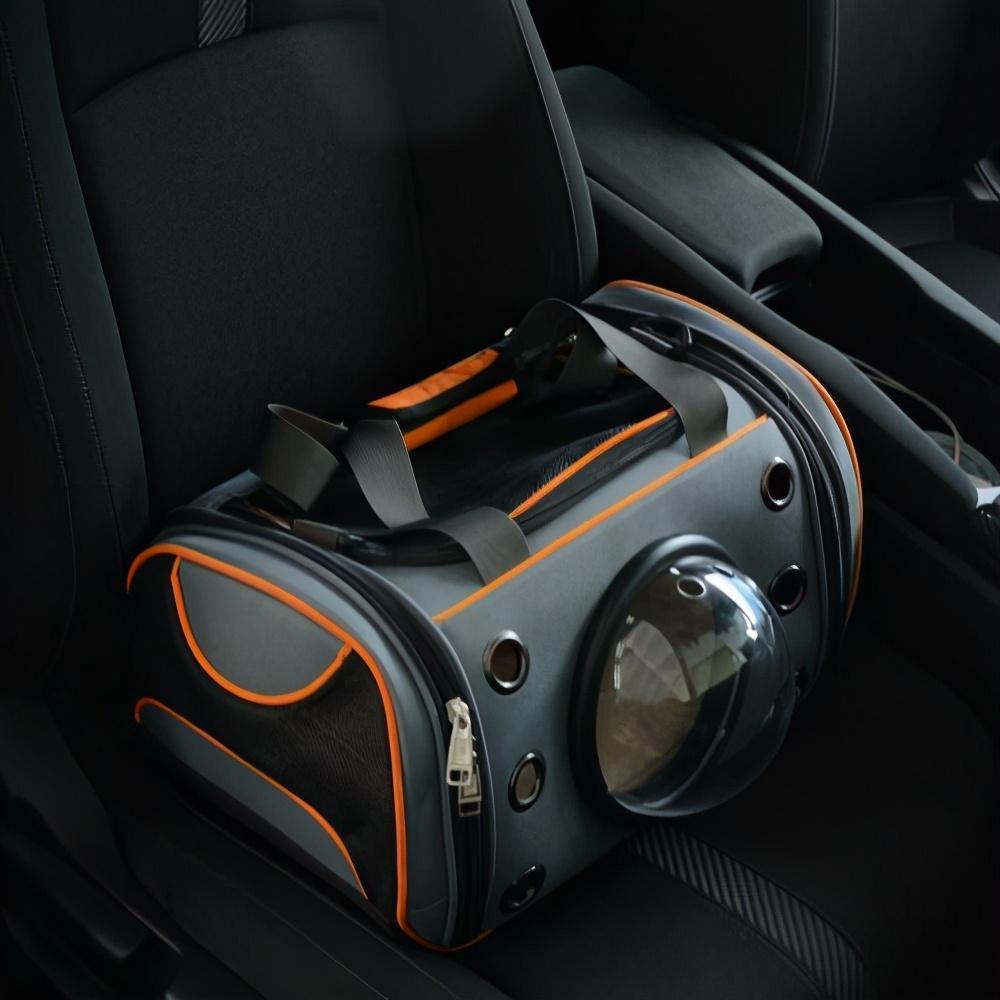 养猫到底要花多少钱？养猫成本分析(图7)