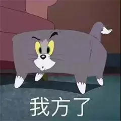 猫咪摄入维生素过多会中毒，铲屎官千万别乱喂了！(图1)