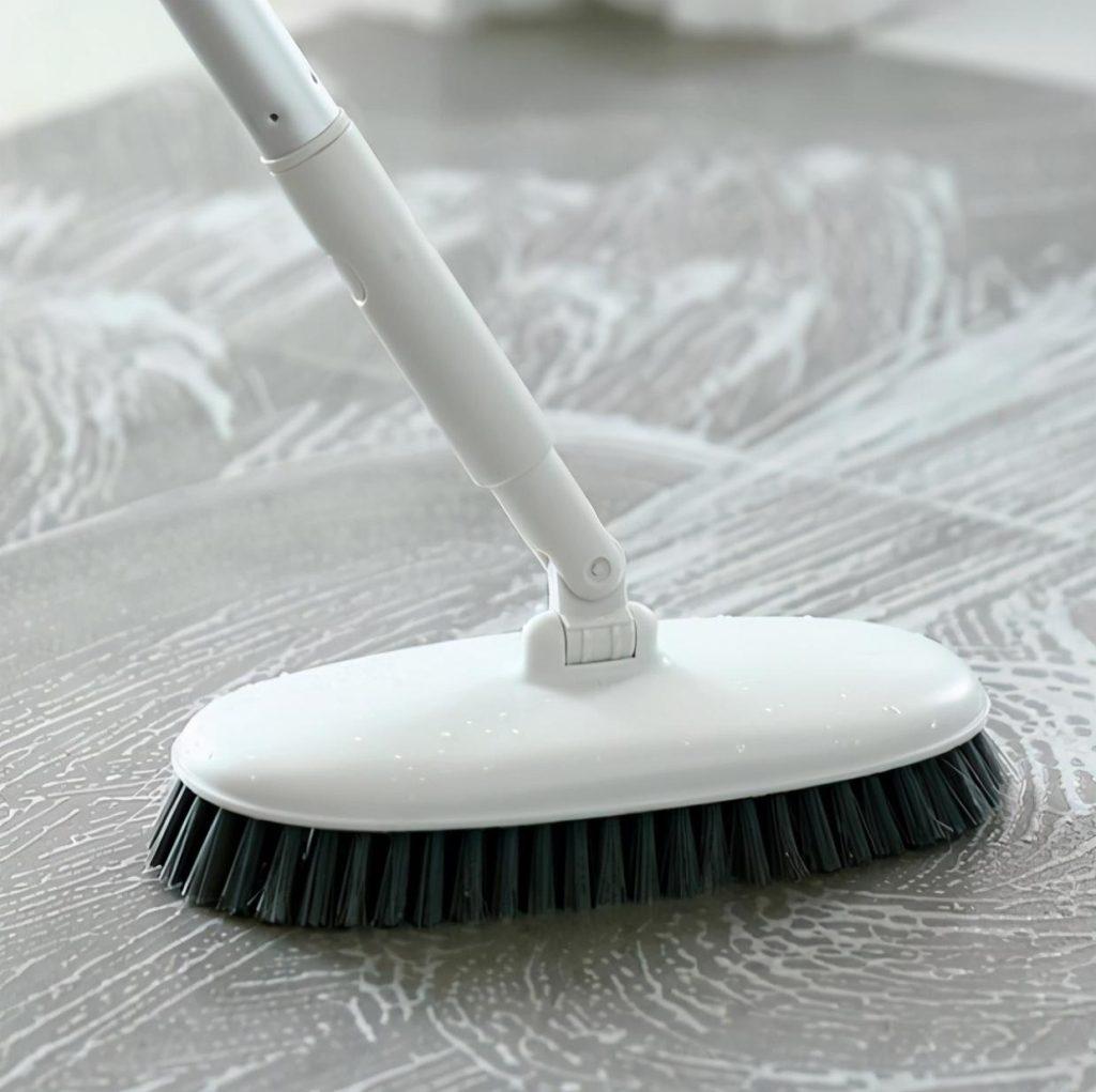 如何正确饲养猫咪？养猫攻略(图7)