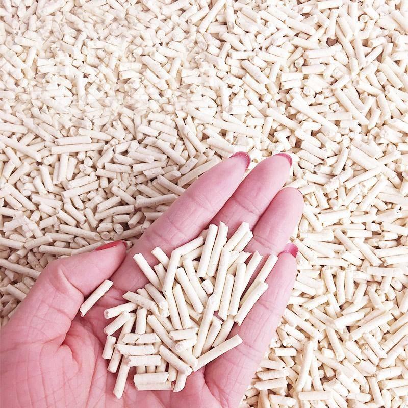 如何挑选合适的猫砂？推荐十款好用不贵的猫砂(图3)