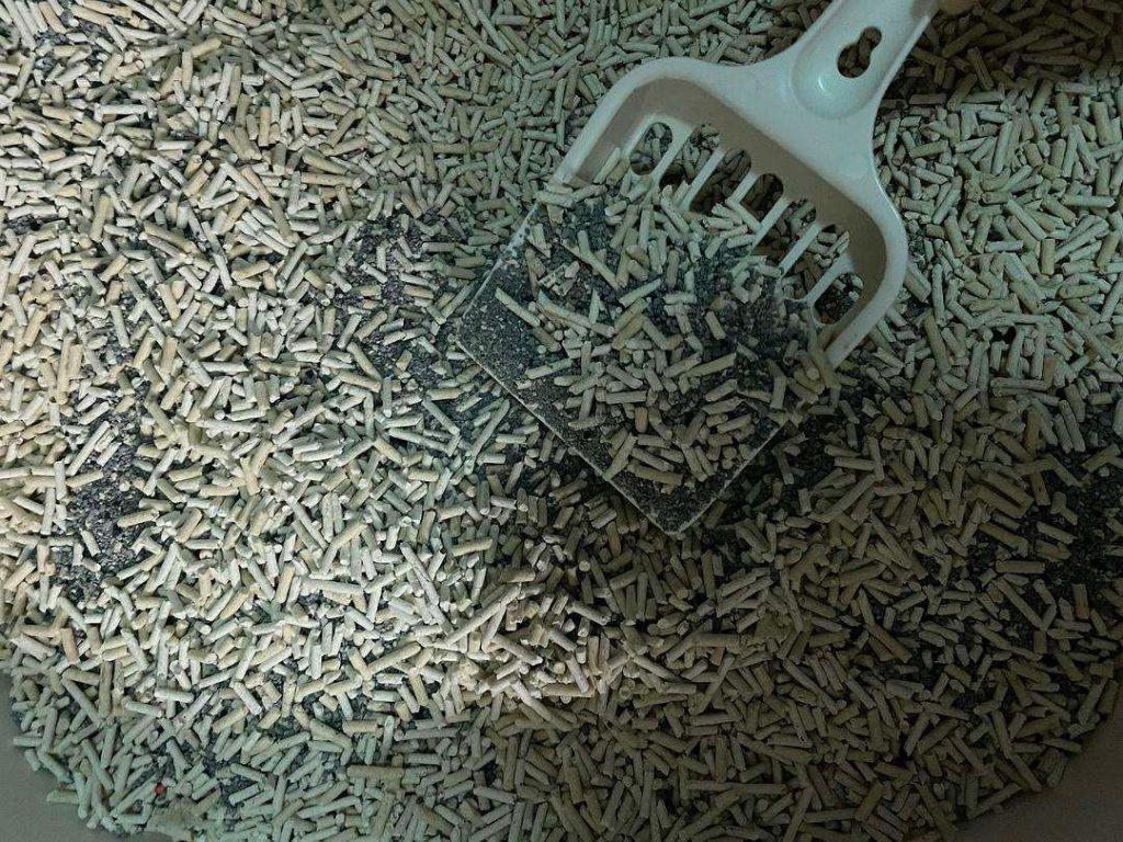 如何挑选合适的猫砂？推荐十款好用不贵的猫砂(图6)