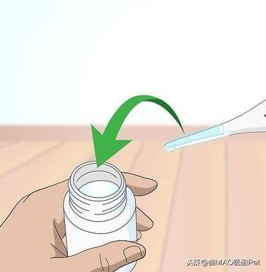 猫咪发热的可能原因有什么？如何给猫量直肠温度？(图5)