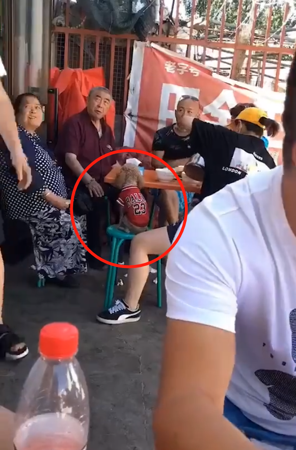 撞衫并不可怕，可怕的是撞衫对象是隔壁桌狗狗！（撞衫了该怎么幽默回答女生）(图1)