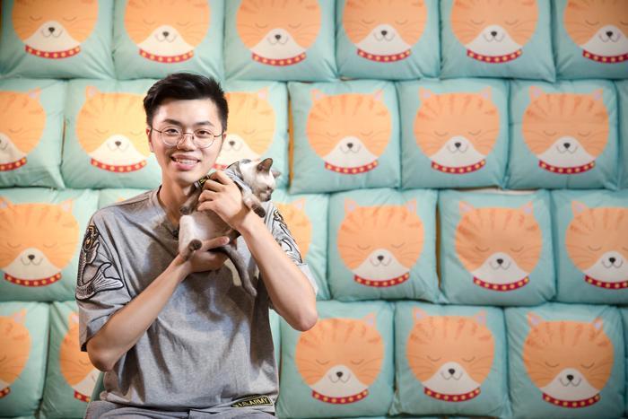 如何领养一只猫？流浪猫喂养指南(图2)