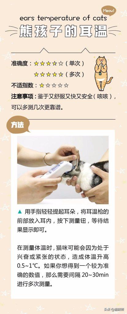 你知道猫咪的正常体温吗？猫咪跟人呆在一起会使体温增加？(图5)