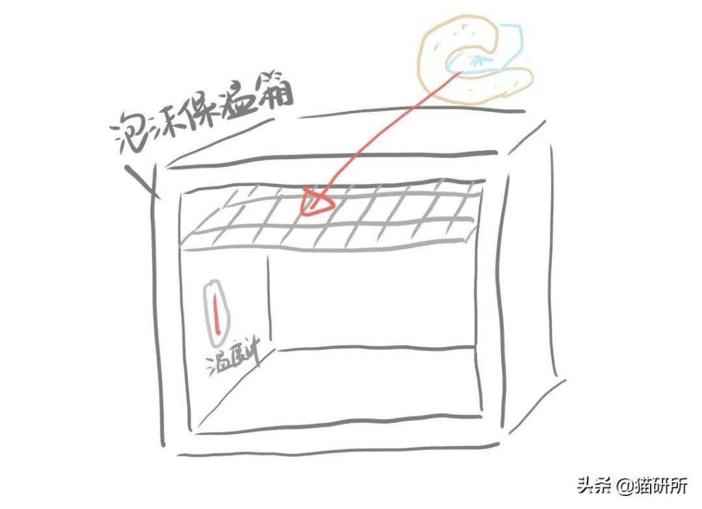 猫咪正常生活的温度是多少？猫咪感觉到热的表现有哪些？(图15)