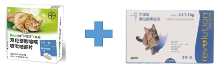 猫咪常见寄生虫及危害是什么？如何预防性驱虫？(图6)