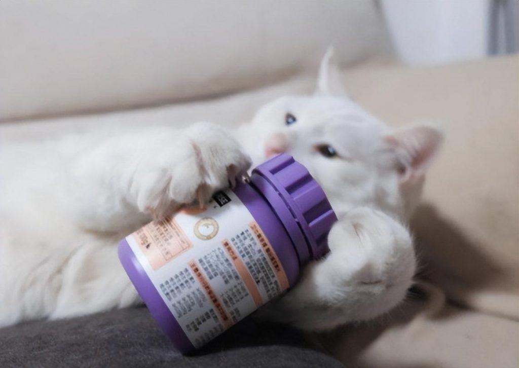 三个月猫咪隔几个小时喂一次？喂食时间和频率，你清楚吗？(图6)