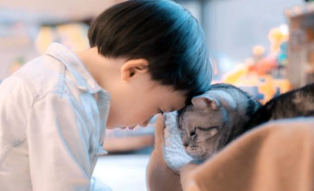 一直喂的小猫突然消失，被发现时奄奄一息，罪魁祸首竟是熊孩子(图1)