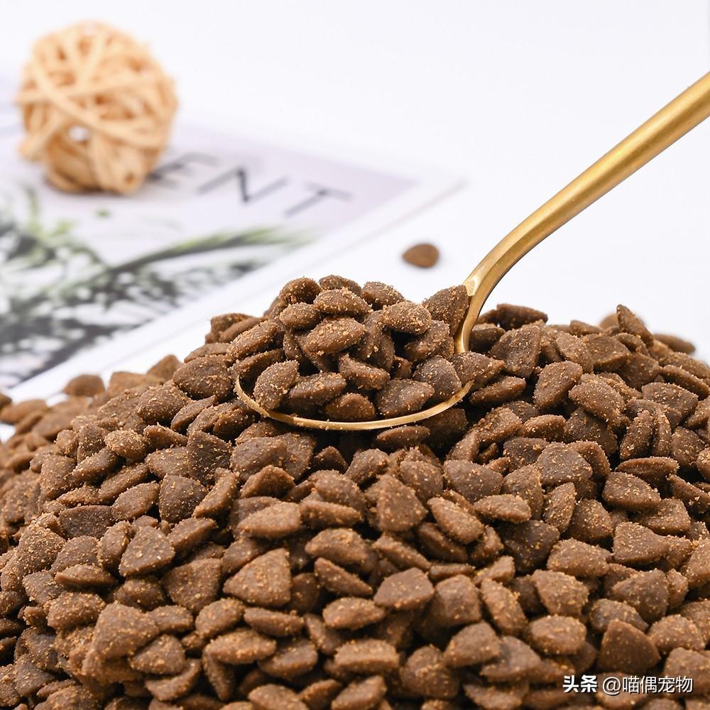 关于如何选择猫粮的疑问及建议(图1)