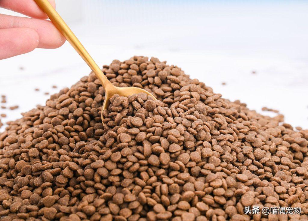 关于如何选择猫粮的疑问及建议(图3)