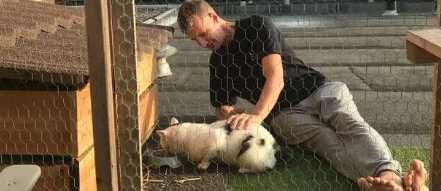 “卑微”猫奴为了讨好倔强流浪猫，斥资建造豪华猫屋，最终...(图3)