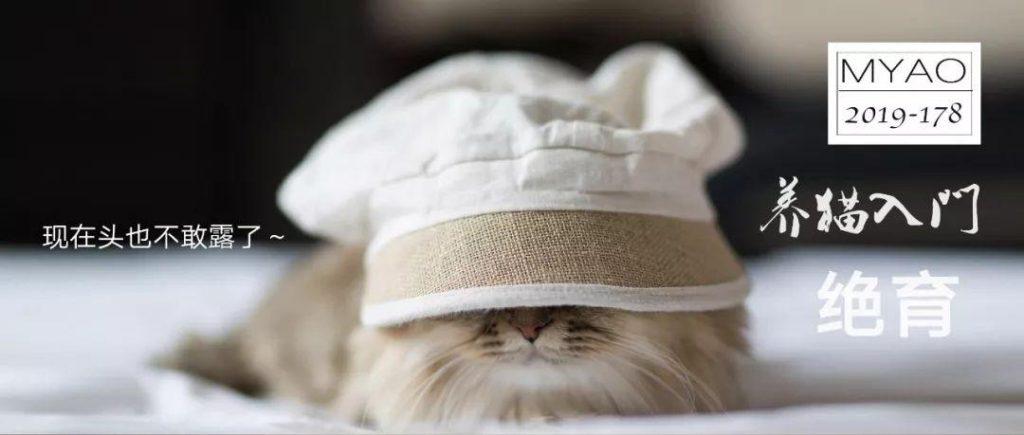 猫咪要不要绝育？麻醉的方式和风险(图1)