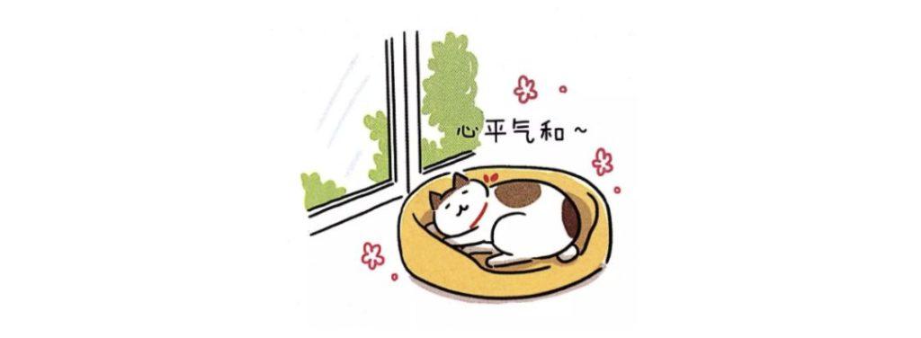 猫咪要不要绝育？麻醉的方式和风险(图23)