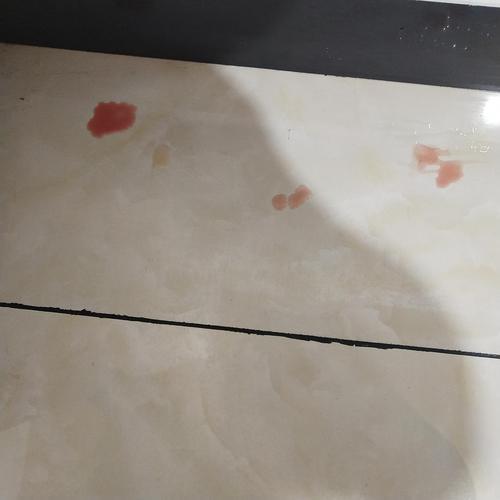 猫咪的泌尿疾病你知道多少？猫咪尿血是真的血吗？(图5)