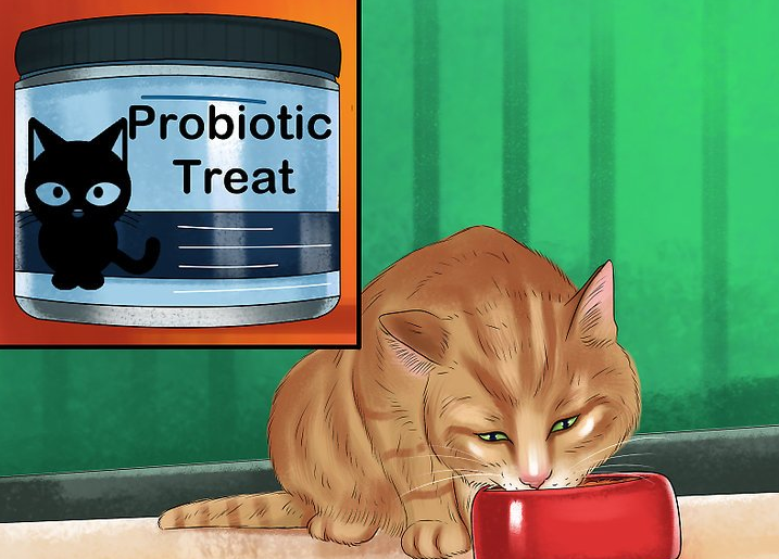 猫咪益生菌，是真的有效、还是骗人的智商税？(图1)