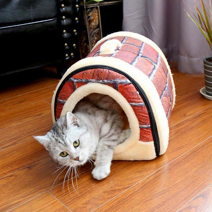 猫毛那么厚，猫咪还会怕冷吗？(图11)