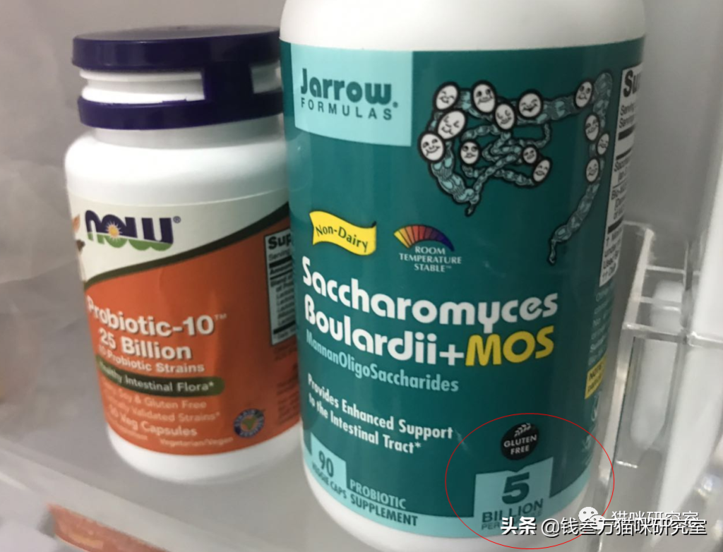 这样给猫喂益生菌，才能发挥最大的效果(图10)