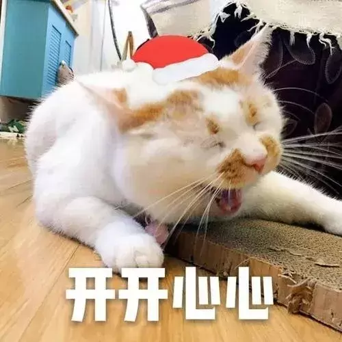 家里猫砂不够的了？教你几招想自己做应急所(图2)