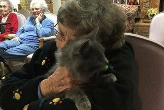 超暖心互动猫咪去拜见安养院散布消息最呆萌疗愈心灵(图1)