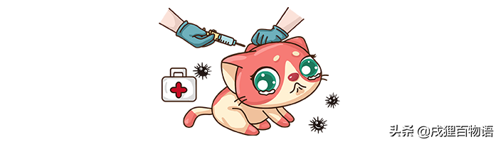 猫猫疫苗品牌有都有哪些？国产货VS进口 怎莫选？(图1)