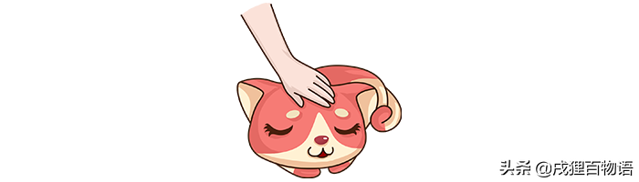 猫猫疫苗品牌有都有哪些？国产货VS进口 怎莫选？(图2)