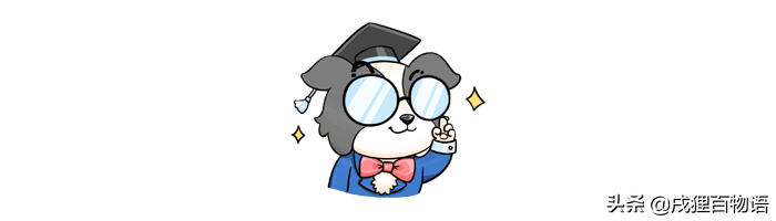 猫猫疫苗品牌有都有哪些？国产货VS进口 怎莫选？(图4)