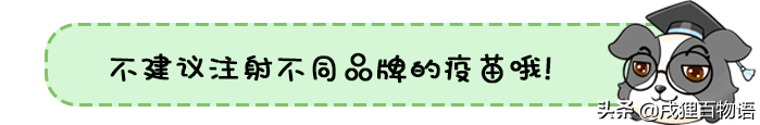 猫猫疫苗品牌有都有哪些？国产货VS进口 怎莫选？(图6)