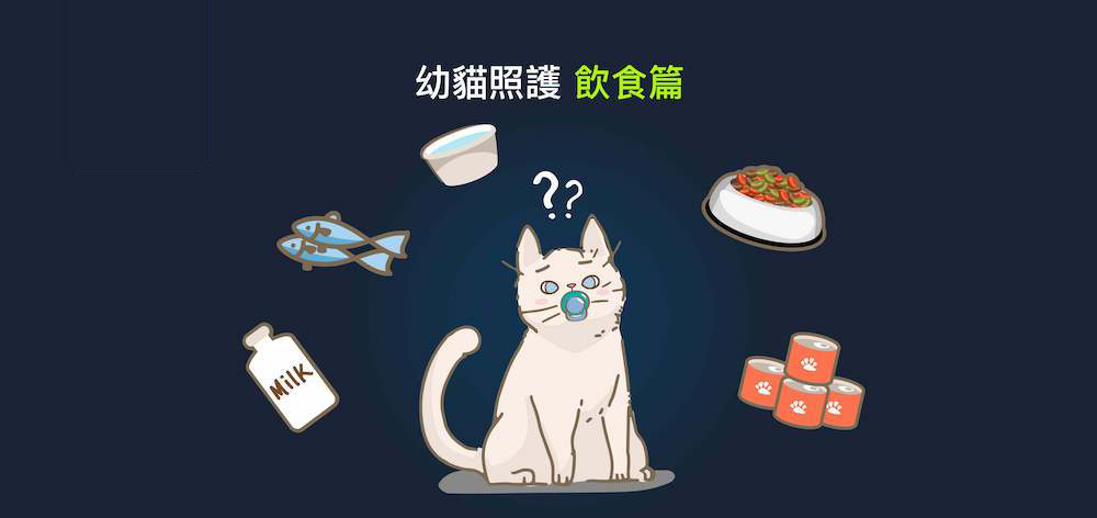 幼猫饮食个人建议（每个期间也有都一样的饮食）(图1)