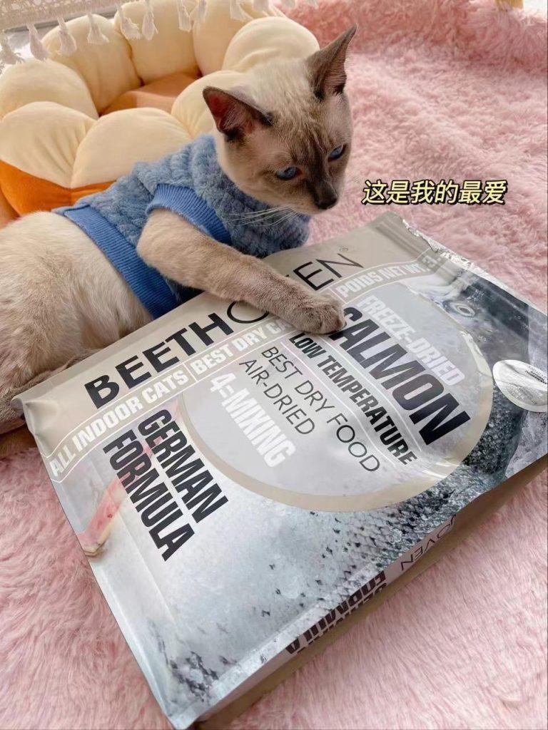 幼猫饮食个人建议（每个期间也有都一样的饮食）(图2)