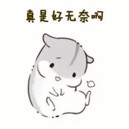 猫咪尿不出就要做尿路改造？尿路改造仅为补救措施(图8)