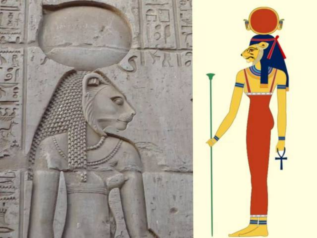 埃及猫有几个小特征你知道吗？(图2)