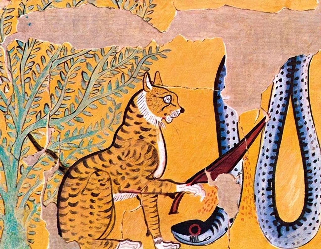 埃及猫有几个小特征你知道吗？(图6)